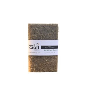 Kitchen Sponge