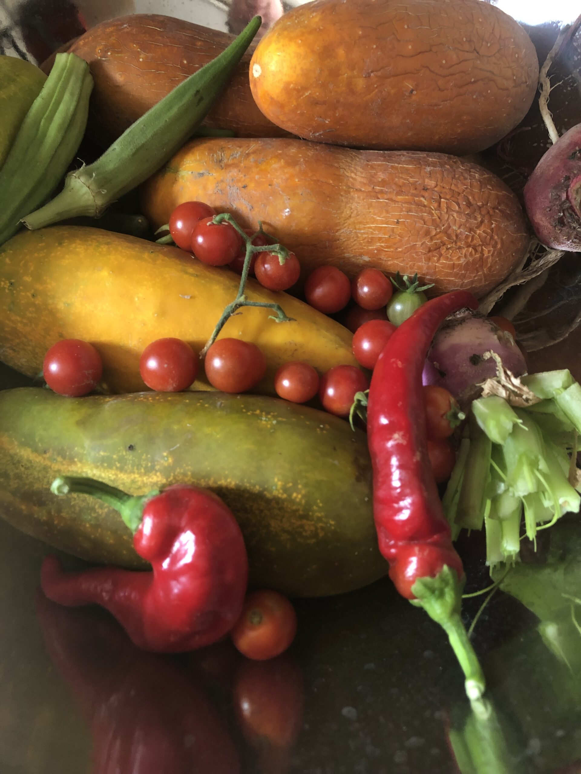 A vibrant assortment of fresh vegetables, including cucumbers, cherry tomatoes, okra, and red chili peppers, arranged in a bowl.